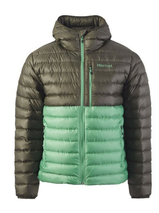 Marmot