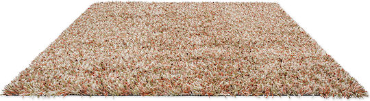 Brink & Campman Spring Χαλί Ορθογώνιο 59123 200x300cm