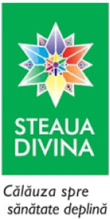 Natural Sea Buckthorn Syrup Cold Pressed 520ml Steaua Divina