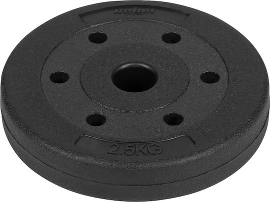 Σετ Δίσκοι 4 x 2.5kg Φ31mm