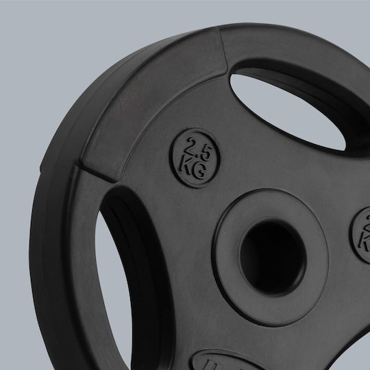 Scheibenset 4 x 2.5kg Ø31mm mit Griffen