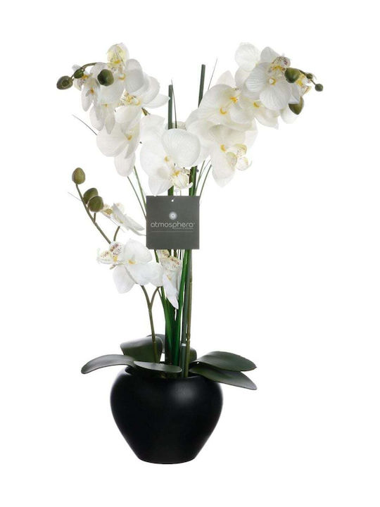 Ορχιδεα Μαυρο Γλαστρακι Κεραμικο 53cm 136510a