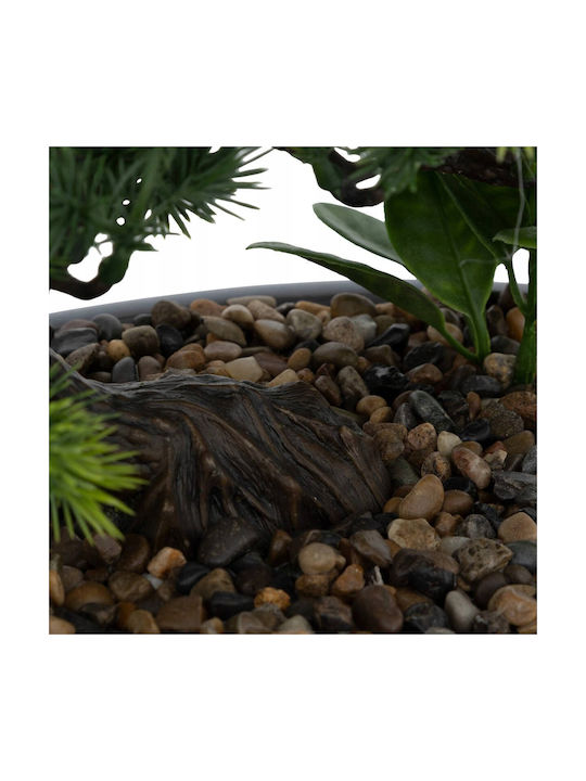 Bonsai in Pot 25cm Atmosphera