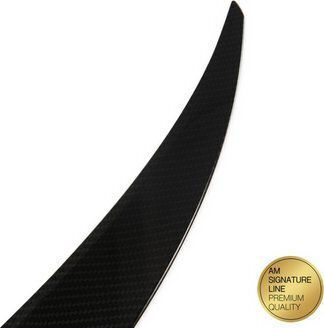 Mtuning Lotka Buza Spoiler Aspect Carbon BMW X6 E71 E72 2007-2014