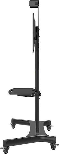 Hagor HP Twin Stand Βάση Τηλεόρασης Δαπέδου έως 55" και 50kg