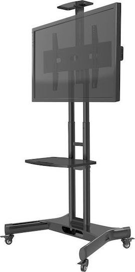 Hagor HP Twin Stand Βάση Τηλεόρασης Δαπέδου έως 55" και 50kg