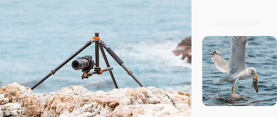 K&F Concept Video Tripod Made of Aluminum with Spherical Head and 10kg Maximum Load