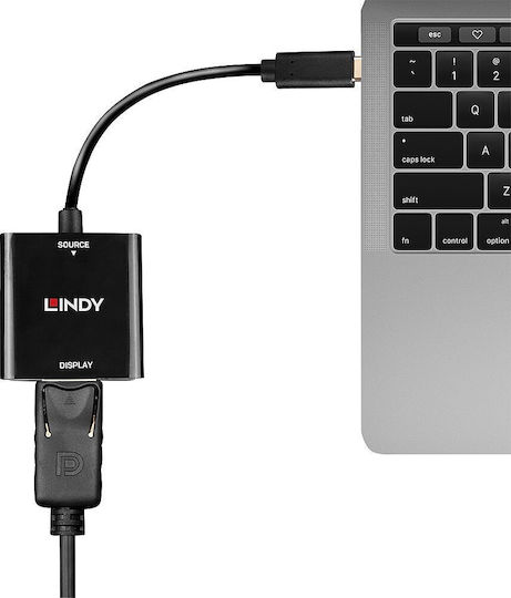 Lindy Μετατροπέας USB-C male σε DisplayPort female (43269)