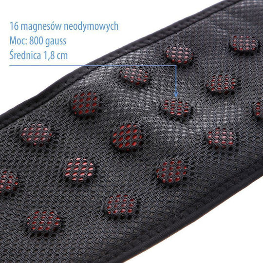 One Fitness Ps168 Abdominal Fitness Belt