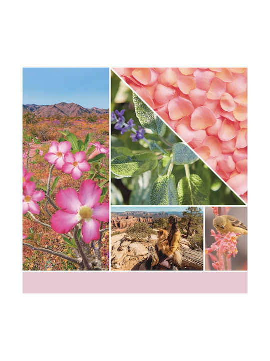 Yankee Candle Aromatisches Kerze Tumbler in Gefäß mit Parfüm Desert Blooms 122gr