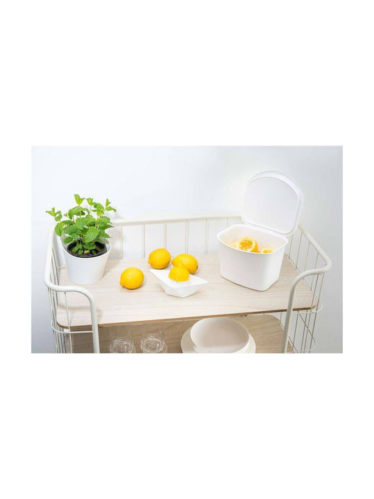 Koziol Waste Bin Waste Plastic White 1pcs