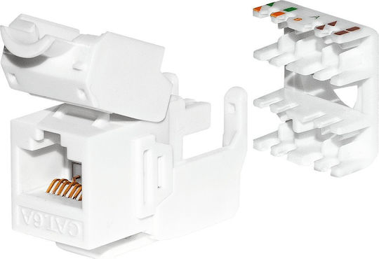 Netrack 105-39 Keystone Jack module, tool-free, white