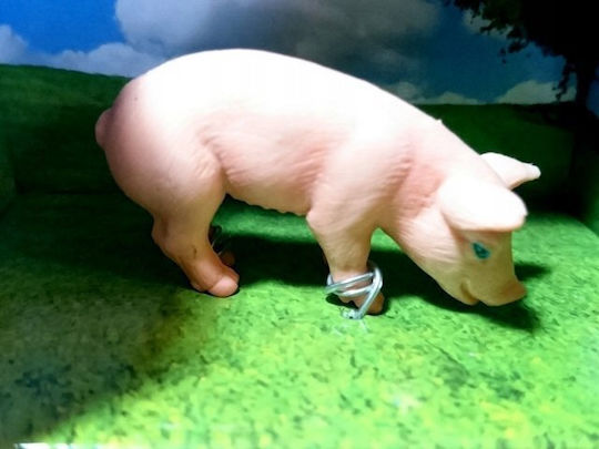 Hipo Domestic Animals Sheep Pig Goat 570449 06905