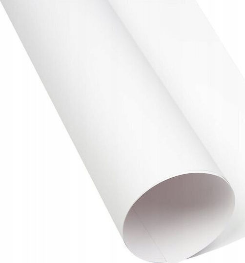 Oxford Cardboard Oxford A3 160g White 25 White