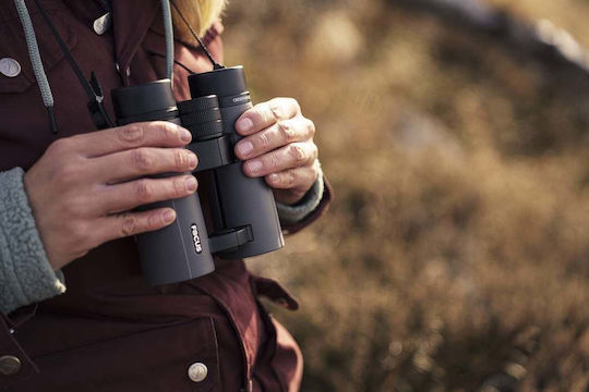 Focus Optics Κιάλια 8x34mm