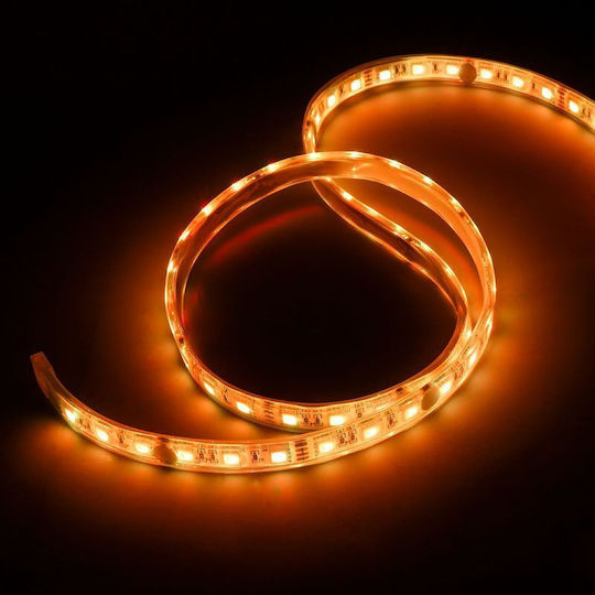 Lamptron Ταινία LED RGB Φως 10m