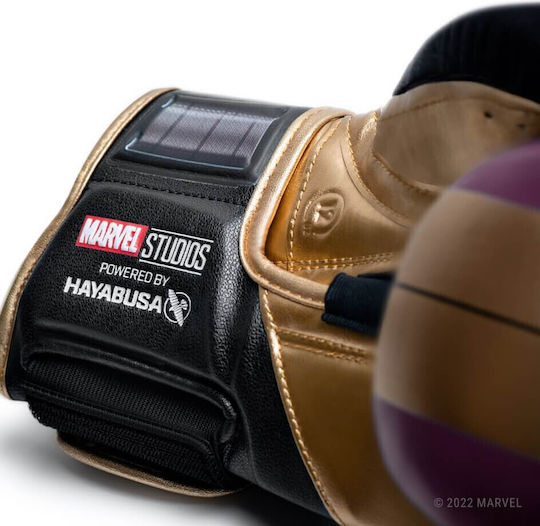 Hayabusa Mănuși de Box pentru Competiție Violet