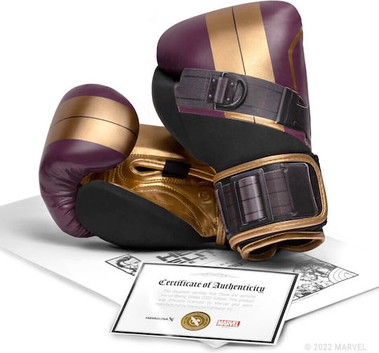 Hayabusa Mănuși de Box pentru Competiție Violet