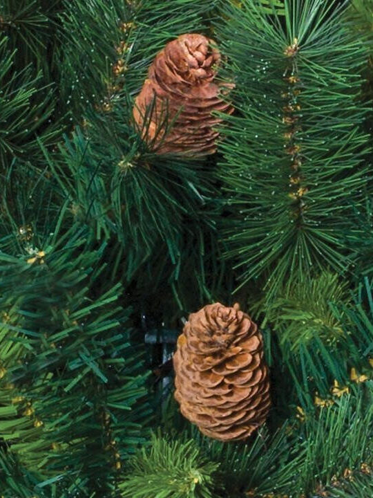 Christmas Tree 210cm Christmas Tree 210cm