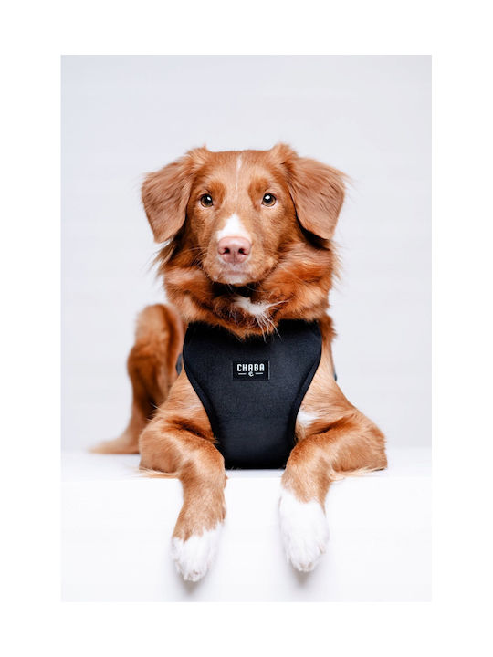 Chaba Chaba Guard Comfort Karness L 2 5cm/52-64cm Μαυρο