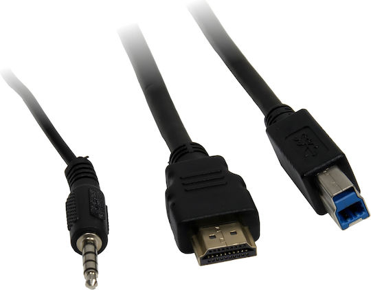 Inter-Tech KVM & Data Switch AC-21HUS