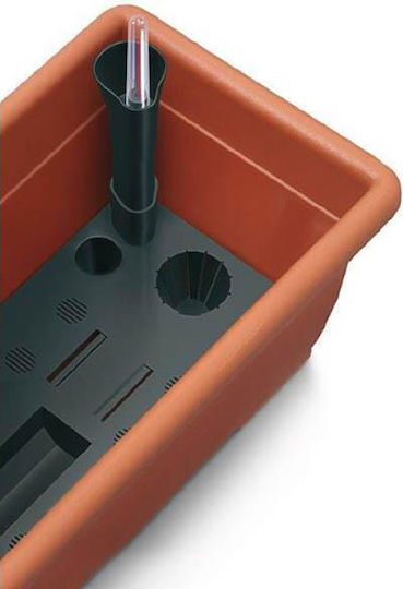 Set 4 Ghivece Plastice Set 4 Ghivece Plastice