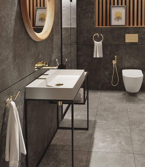 Deante Countertop Sink Porcelain 60x40x10cm Gray