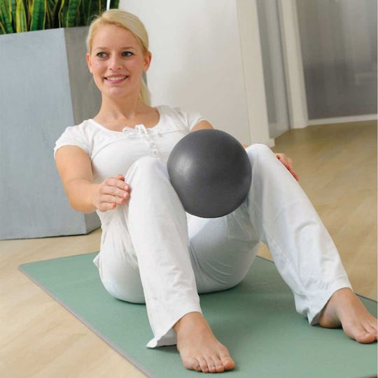Sissel Mini Ball Pilates 22cm in Gray Color