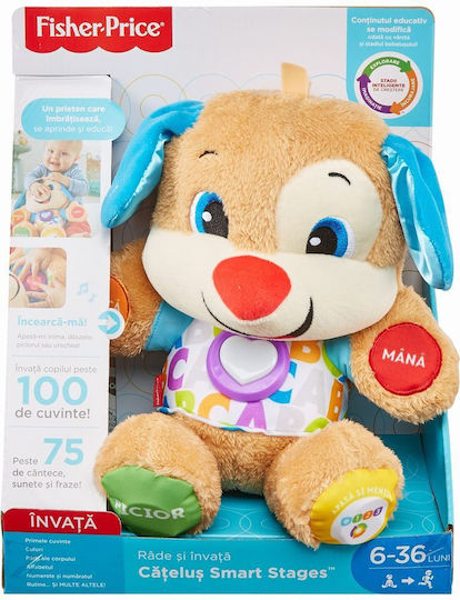 Fisher Price Jucărie De Activitate Pentru Bebeluși Educational Kitten Romanian Din Țesătură Cu Muzică Lumină Și Sunete Pentru 6+ Luni