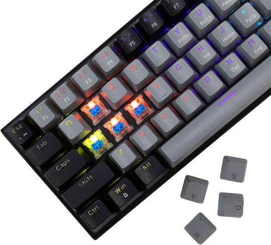 White Shark WAKIZASHI 2 Gaming Mechanische Tastatur mit Benutzerdefiniert Blau Schaltern und RGB-Beleuchtung (Englisch US) Grey/Black