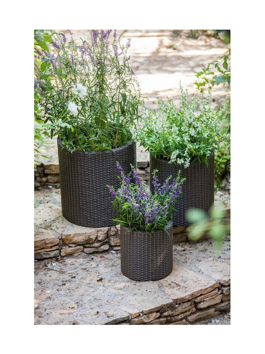 Keter Pot Plastic Brown