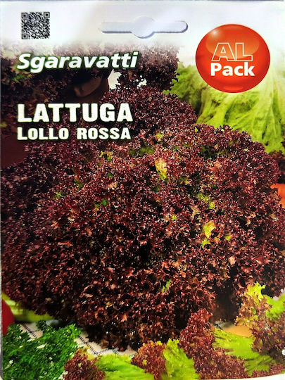 Samen Marulenkopf Rot Lollo Rosso Natura