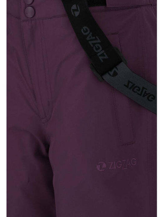 ZigZag Z163076-4149 Παιδικό Παντελόνι Σκι & Snowboard Μωβ