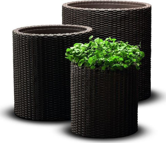 Large Brown Cylinder Flower Pot