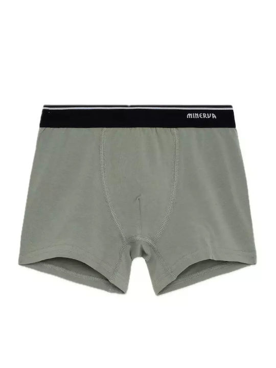 Minerva Set of Kids' Boxers Multiple 2pcs