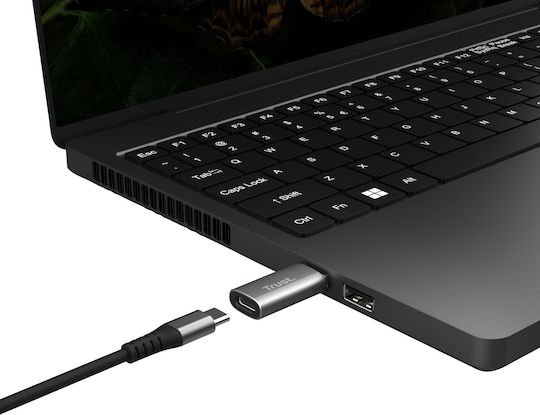 Trust Convertor USB-A masculin în USB-C feminin Gri 2buc 25573