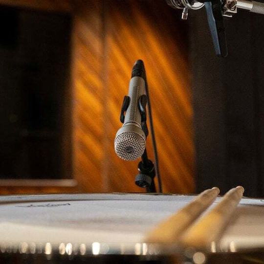 Warm Audio WA-19 Δυναμικό Microphone Shock Mounted for Studio in Silver Color Nickel