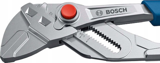 Bosch Γκαζοτανάλια 250mm