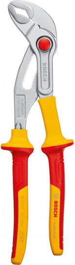 Bosch Γκαζοτανάλια 250mm