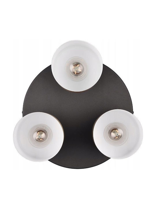 Trio Lighting Ceiling Mount Light 30cm Black with Socket E27