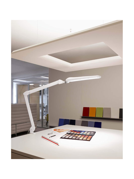 Maul LED Schreibtischlampe in Weiß Farbe