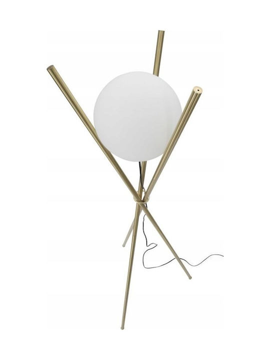 Mauro Ferretti Floor Lamp
