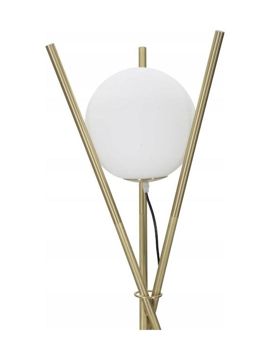 Mauro Ferretti Floor Lamp