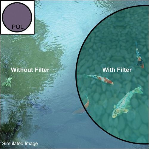 Hoya PRO1D CPL Filter Diameter 49mm with MC Coating for Photography Lenses