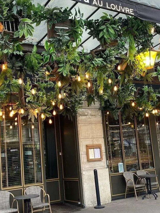 Garland Lights Exterior