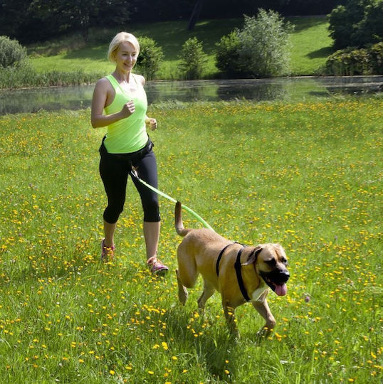 Dingo Dog Leash/Lead Strap in Green color