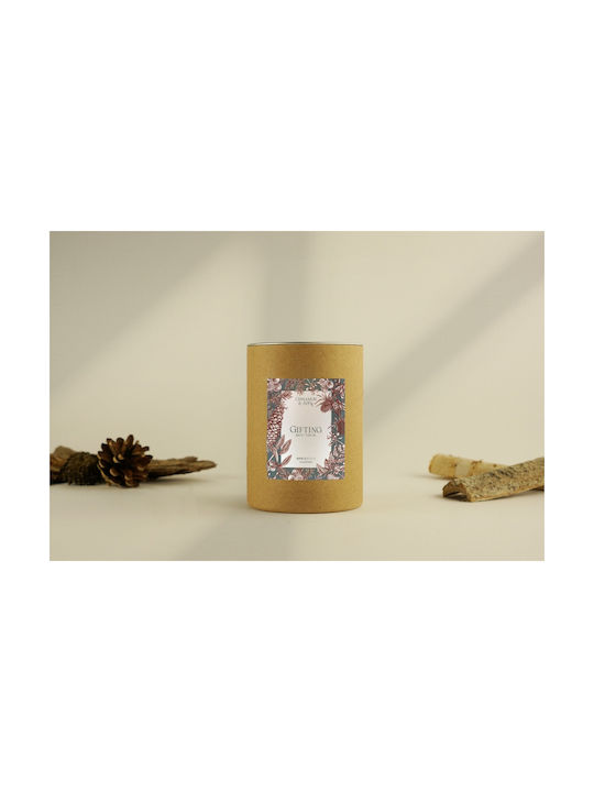 Ambientair Aromatic Taper Candle with Cinnamon & Apple Scent 200g
