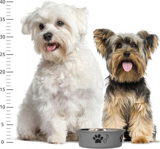 Barry King Metallic Bowl Food for Dog & Cat with Base 450ml 14cm in Gray Color