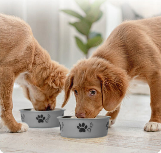 Barry King Metallic Bowl Food for Dog & Cat with Base 450ml 14cm in Gray Color