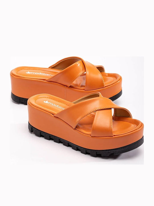 Moda Trend